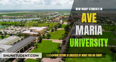 Exploring the Student Body at Ave Maria University