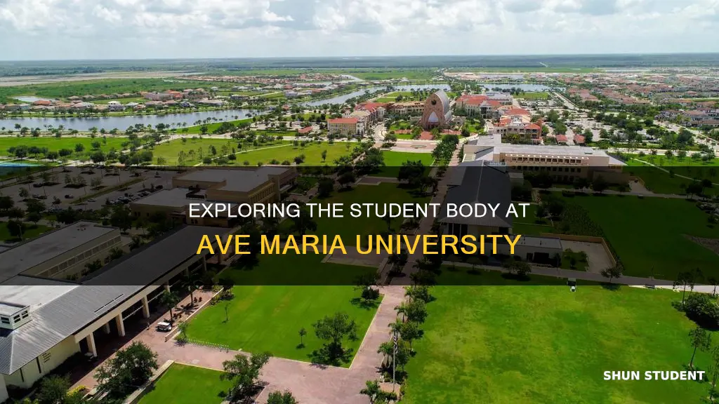 how many students in ave maria university