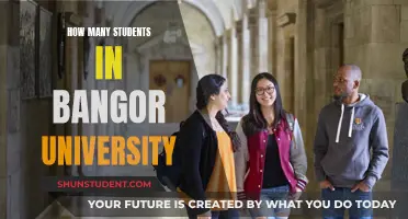 Bangor University's Student Population: A Comprehensive Overview