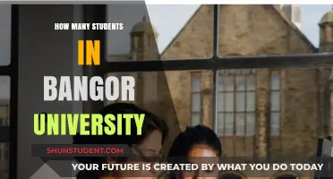 University Student Population: Bangor's Numbers