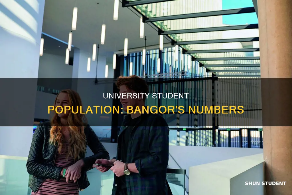 how many students in bangor university
