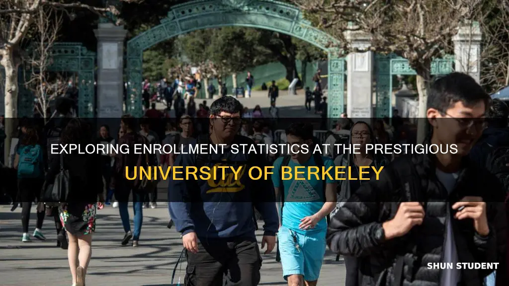 how many students in berkely university