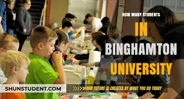 Diverse Student Population at Binghamton University