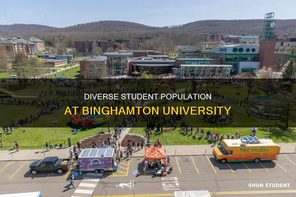 how many students in binghamton university