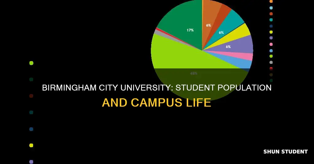 how many students in birmingham city university