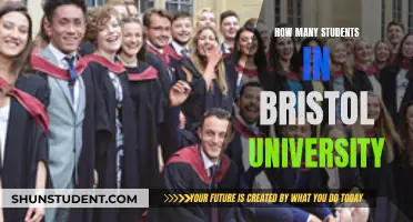 Bristol University's Student Population: How Many Are There?