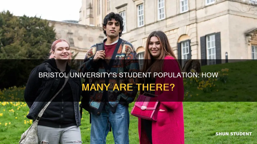 how many students in bristol university