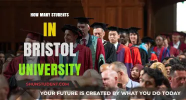 Bristol University's Student Population: How Many?