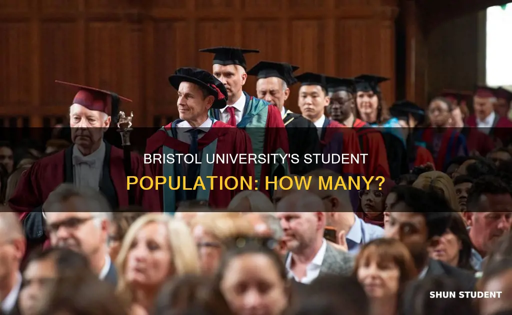 how many students in bristol university