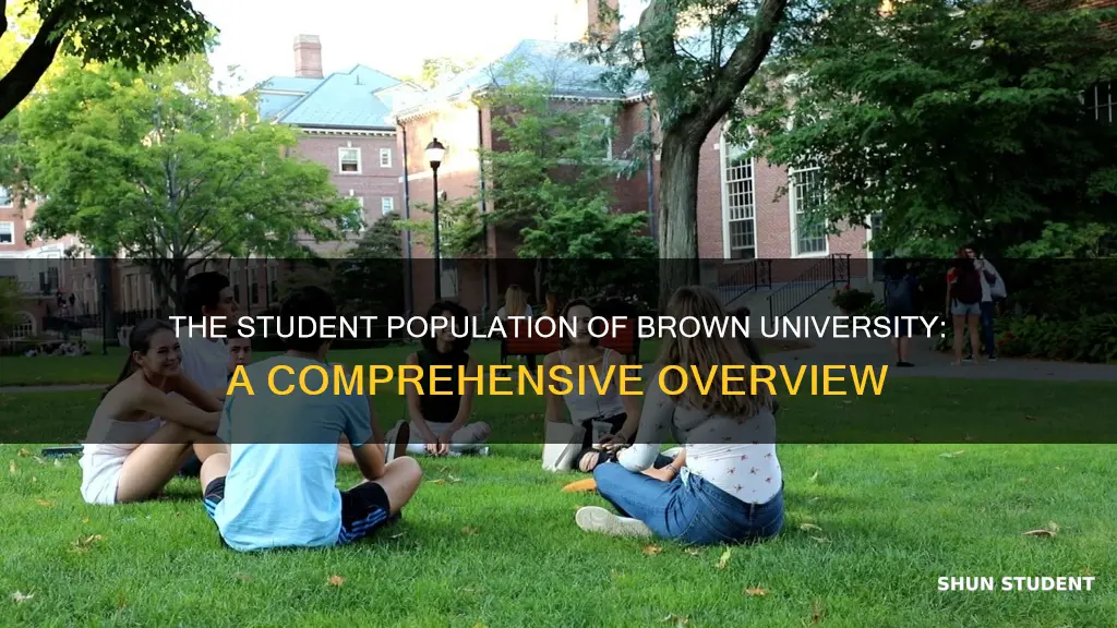 how many students in brown university