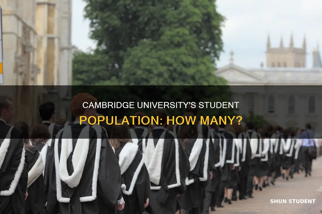 how many students in cambridge university