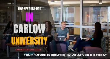 Exploring Carlow University's Student Population