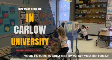 Carlow University: A Small Student Body, Big Opportunities