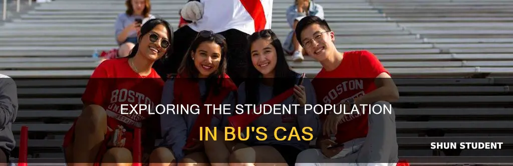 how many students in cas boston university