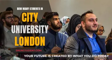 London's City University: Student Population and Campus Insights