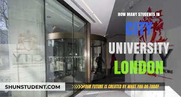 London's City University: Student Population Insights