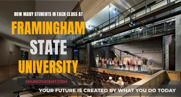 Framingham State University: Class Sizes and Student Distribution