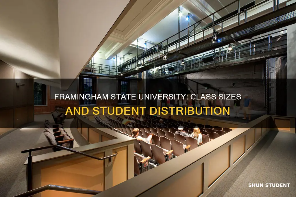 how many students in each class at framingham state university