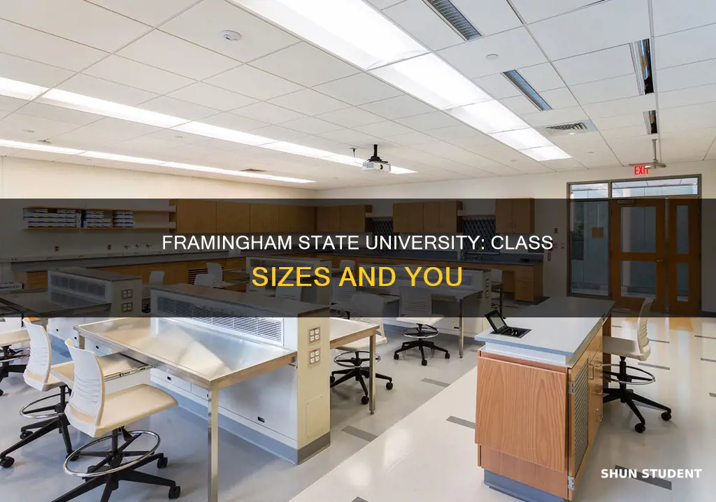 how many students in each class at framingham state university