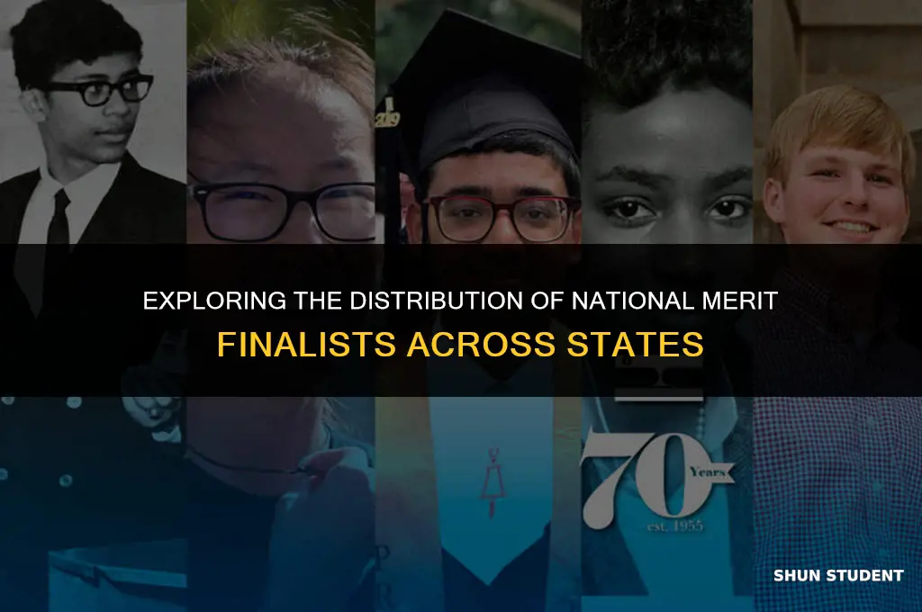how many students in each state national merit finalist