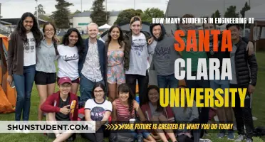 Engineering Student Population at Santa Clara University