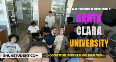 Engineering Students at Santa Clara University: How Many?