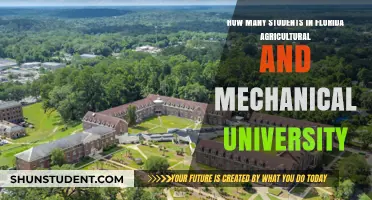 Florida Agricultural and Mechanical University's Student Population