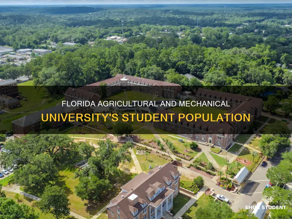 how many students in florida agricultural and mechanical university