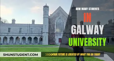 Galway University's Student Population: A Comprehensive Overview