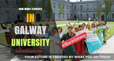Galway University's Student Population: A Comprehensive Overview