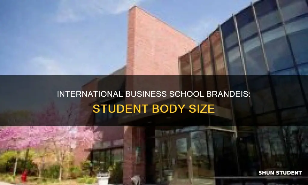 how many students in international business schoo brandeis