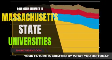 Massachusetts State Universities: Student Population Insights