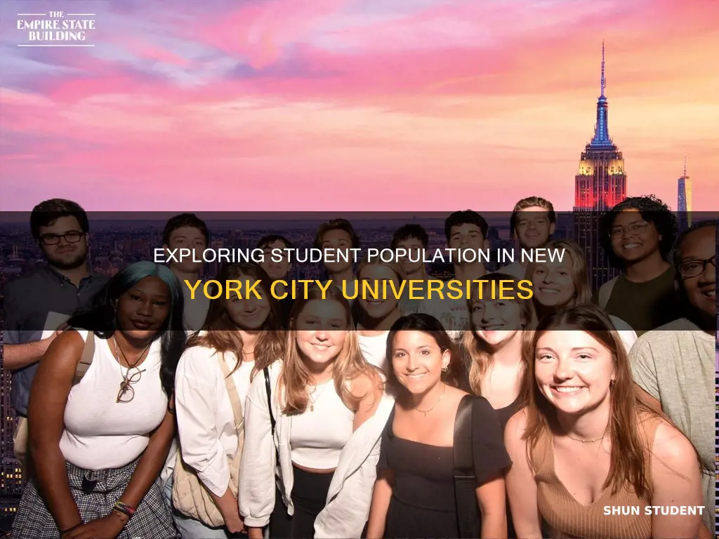 how many students in new york city universities