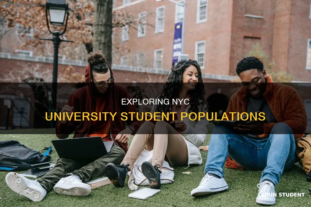how many students in new york city universities