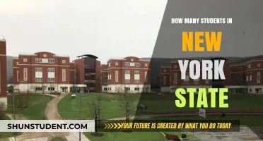 Exploring the Student Population in New York State: A Comprehensive Overview
