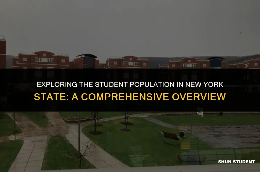 how many students in new york state