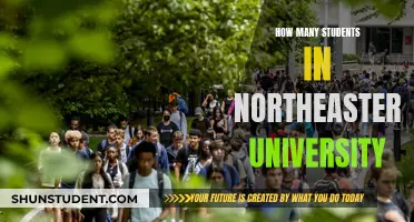 A Vibrant Community: Northeastern University's Student Population