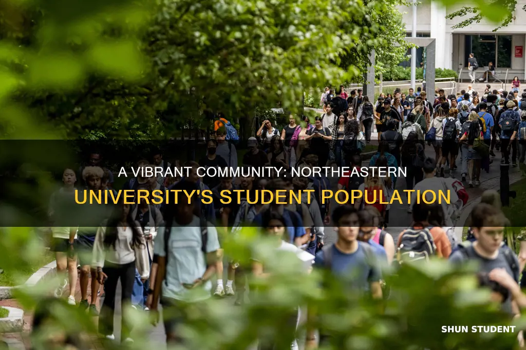 how many students in northeastern university