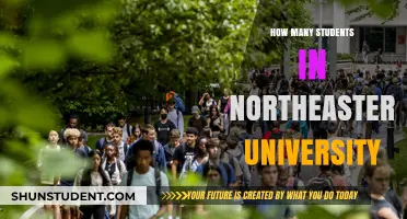 Exploring Northeastern University's Student Population