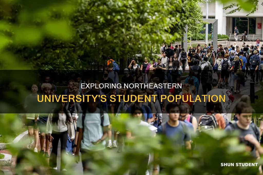 how many students in northeastern university