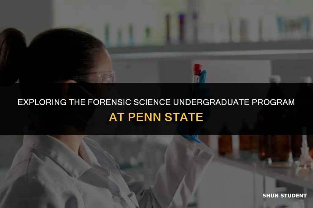 how many students in penn state forensics undergraduate program