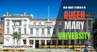 Exploring Enrollment Figures at Queen Mary University