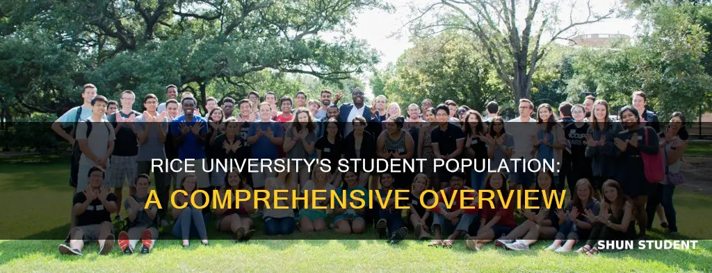 how many students in rice university