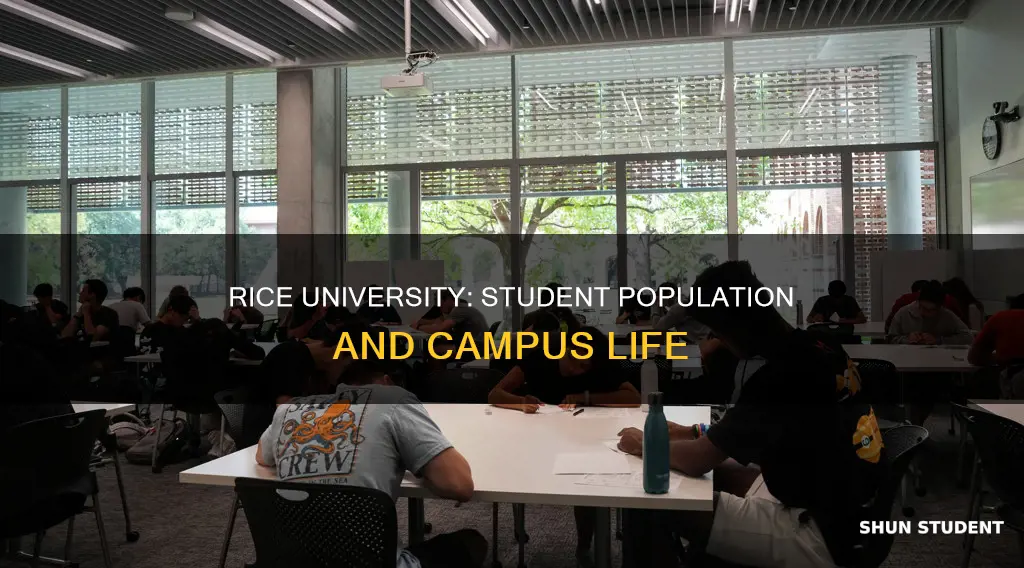 how many students in rice university