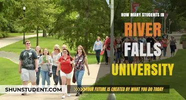 River Falls University: Student Population Insights