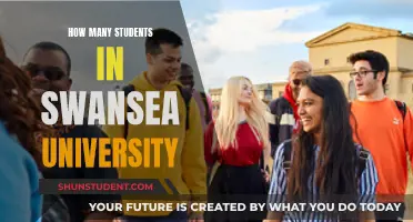 Swansea University's Student Population: A Comprehensive Overview