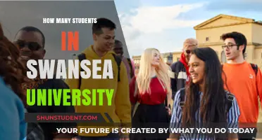 Swansea University's Student Population: How Many?
