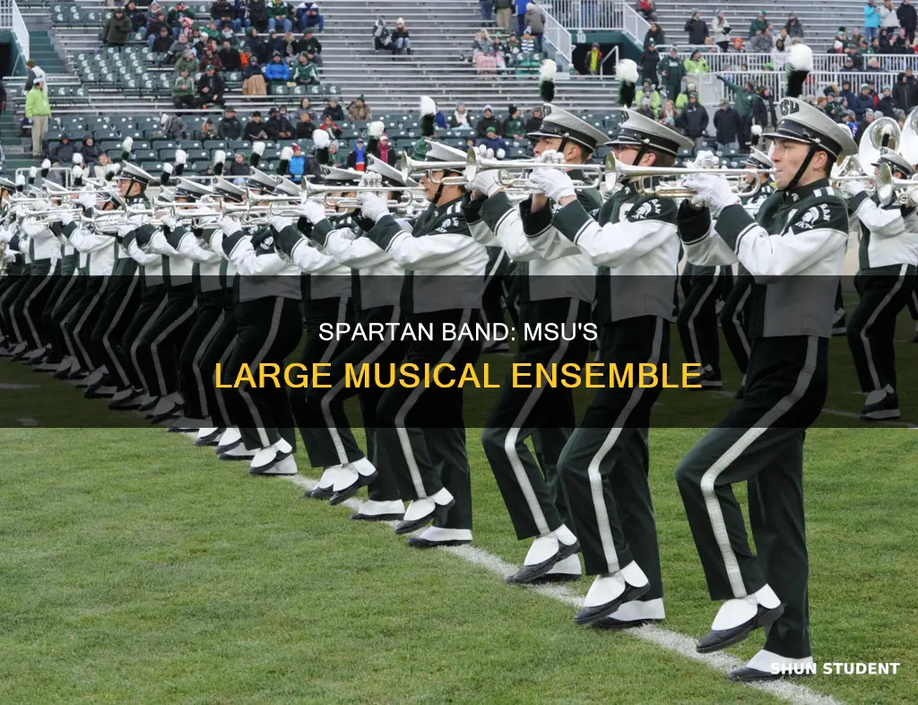 how many students in the michigan state university band