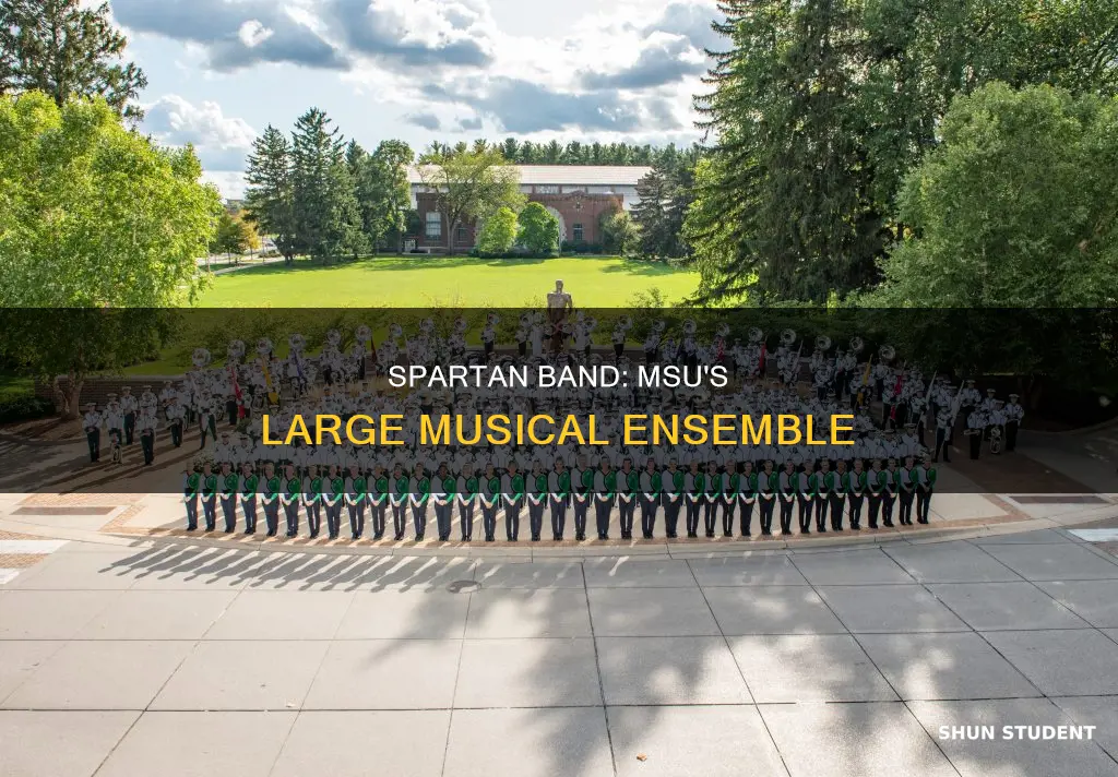 how many students in the michigan state university band