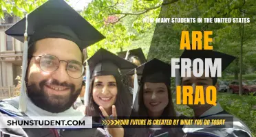 Exploring the Educational Journey of Iraqi Students in the U.S